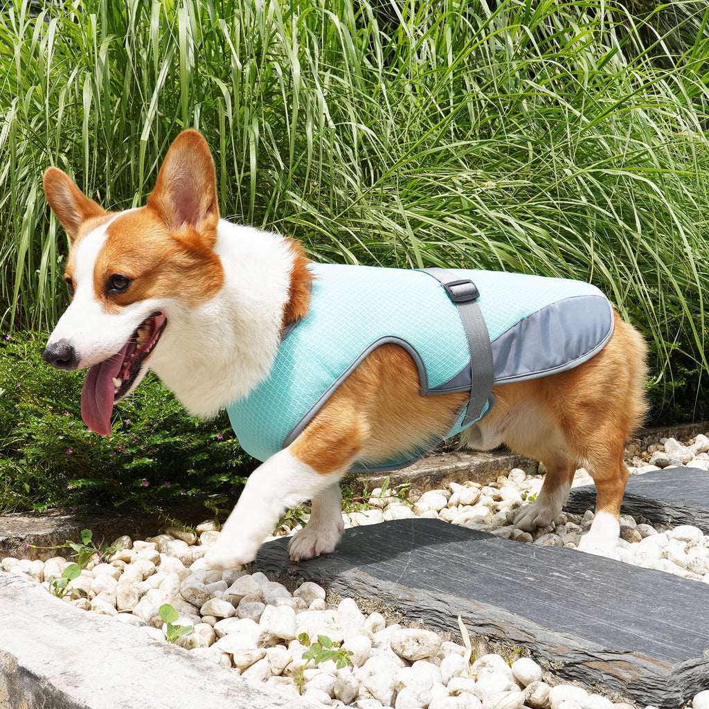 Pet Cooling Clothing
