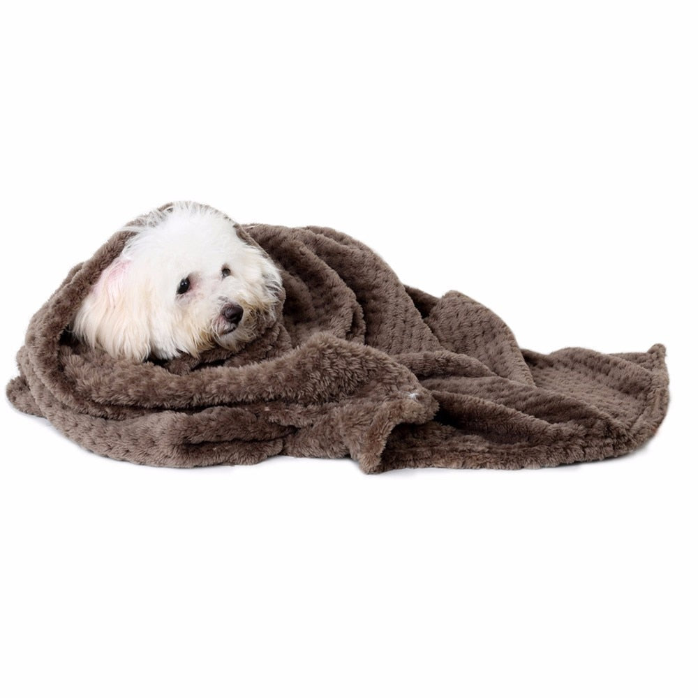 soft dog blanket