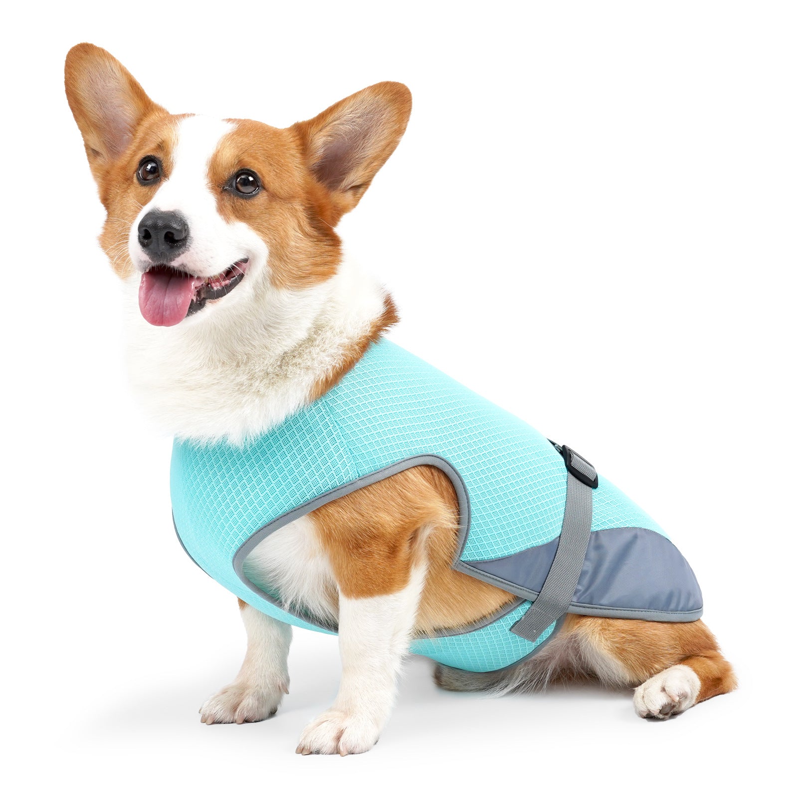 Pet Cooling Clothing