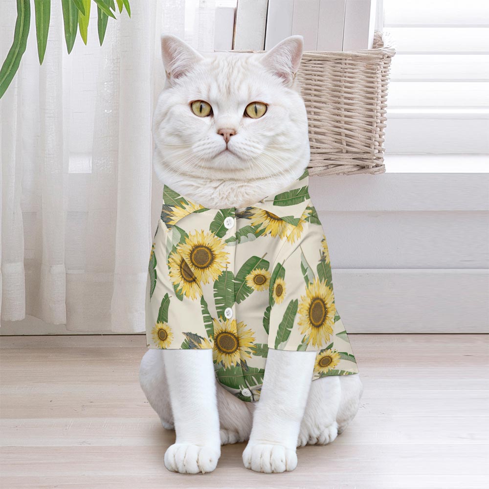 Pet shirt