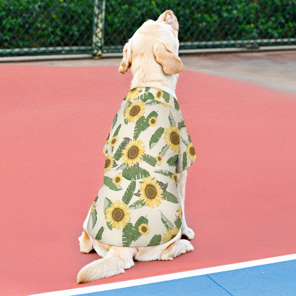 Pet shirt