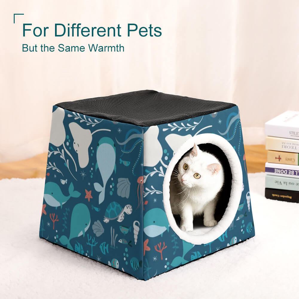 Capsule pet Waterloo