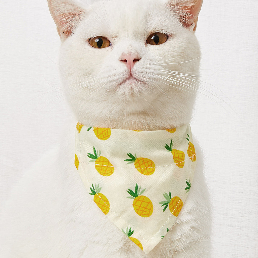 cotton pet scarf