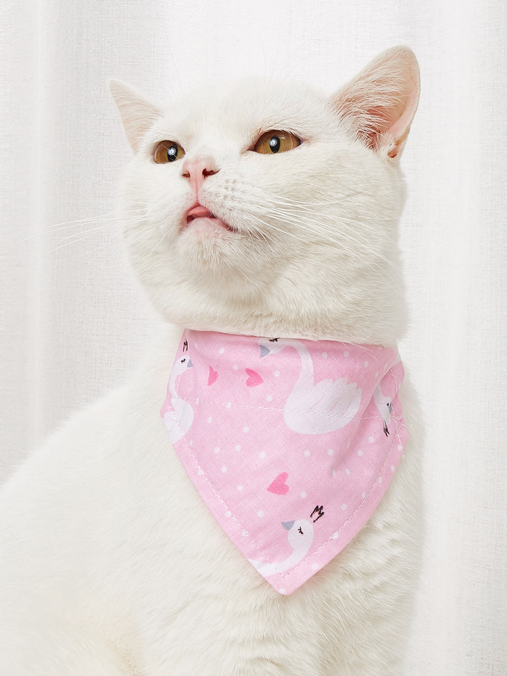 cotton pet scarf