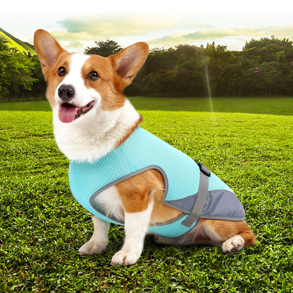 Pet Cooling Clothing