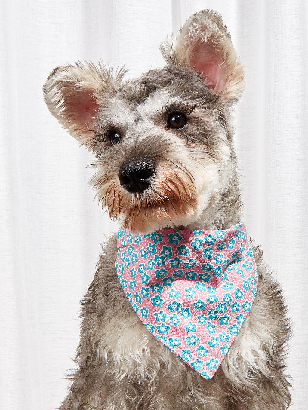 cotton pet scarf