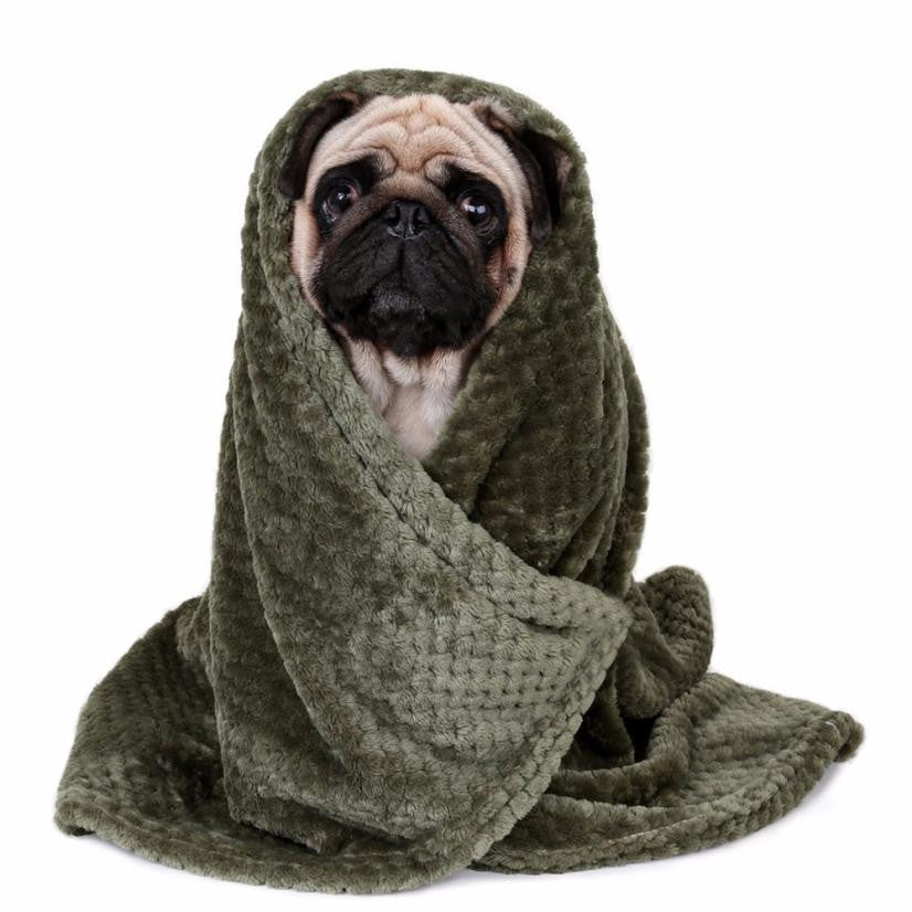 soft dog blanket